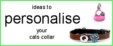 Personalised Cat Collars